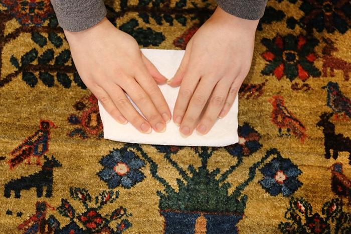 rug cleaner